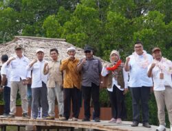 Pemkot Tidore Berkomitmen Lestarikan Ekosistem Mangrove 