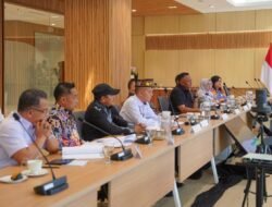 Upaya Peningkatan Kualitas Pelayanan Kesehatan, Wali Kota Tidore Kepulauan Audiensi dengan Menkes RI 